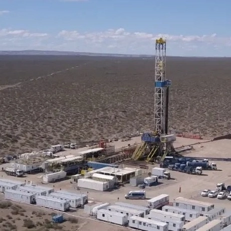 Diez empresas ofertaron por ocho áreas y Vaca Muerta gana impulso