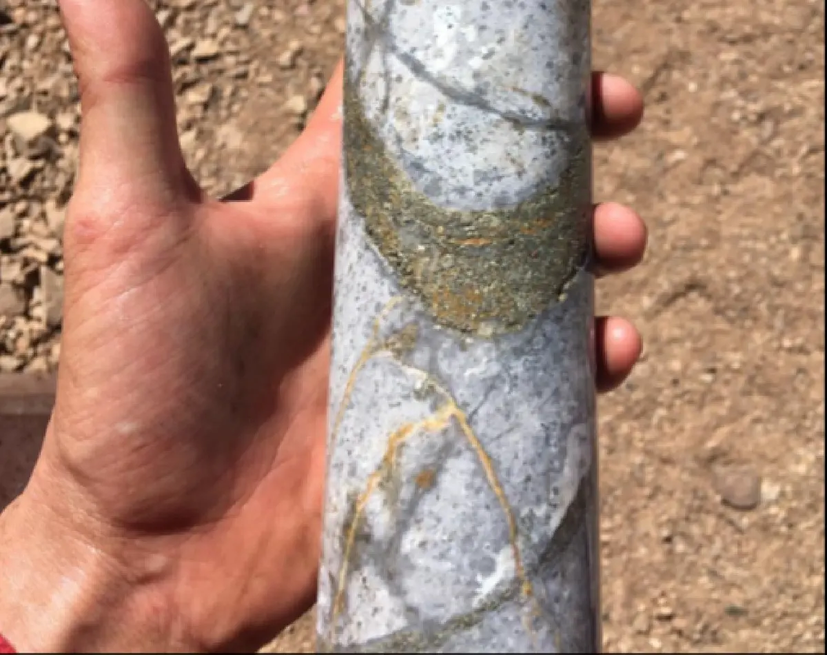 Testigo de perforación del sistema La Coipita, con venillas y alteración asociadas a la mineralización de cobre, oro y molibdeno.
