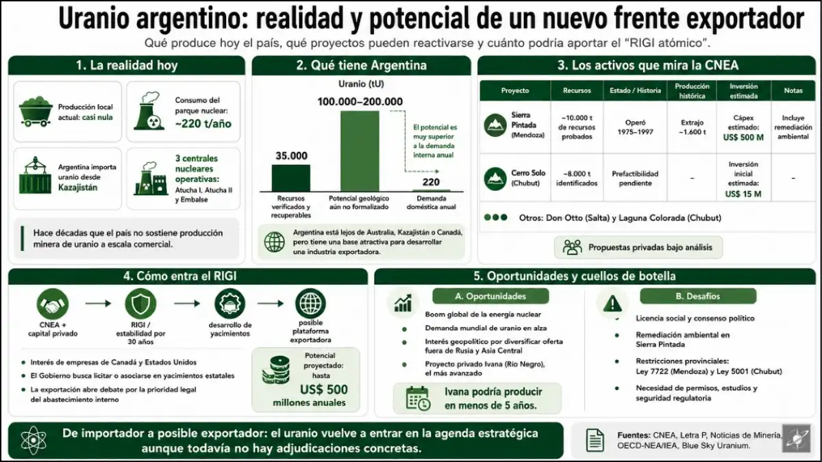Argentina busca reactivar la minería de uranio mediante capital privado y el RIGI, con Sierra Pintada, Cerro Solo e Ivana como proyectos centrales de una posible plataforma exportadora.