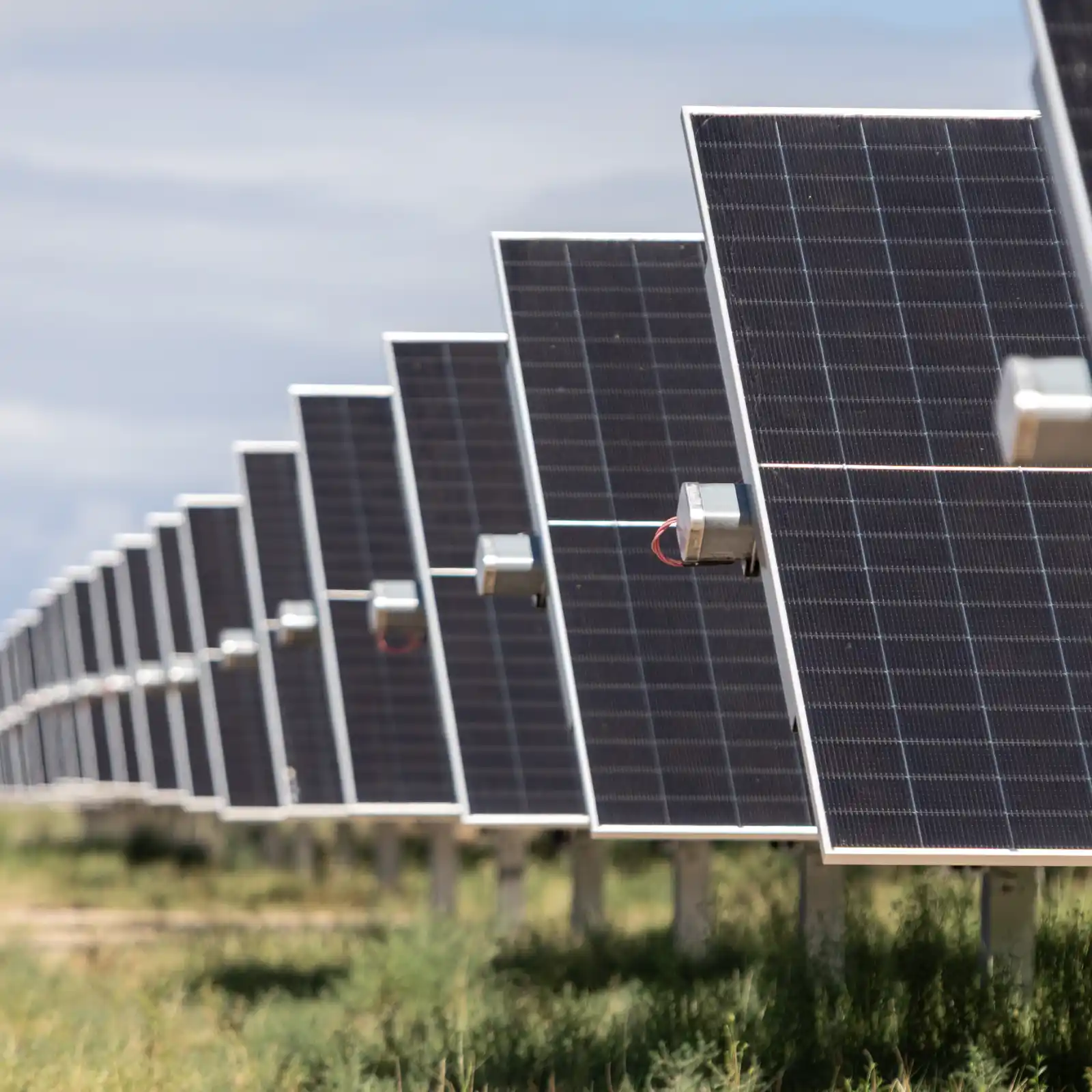 Aluar construirá un parque solar de 30 MW en Buenos Aires