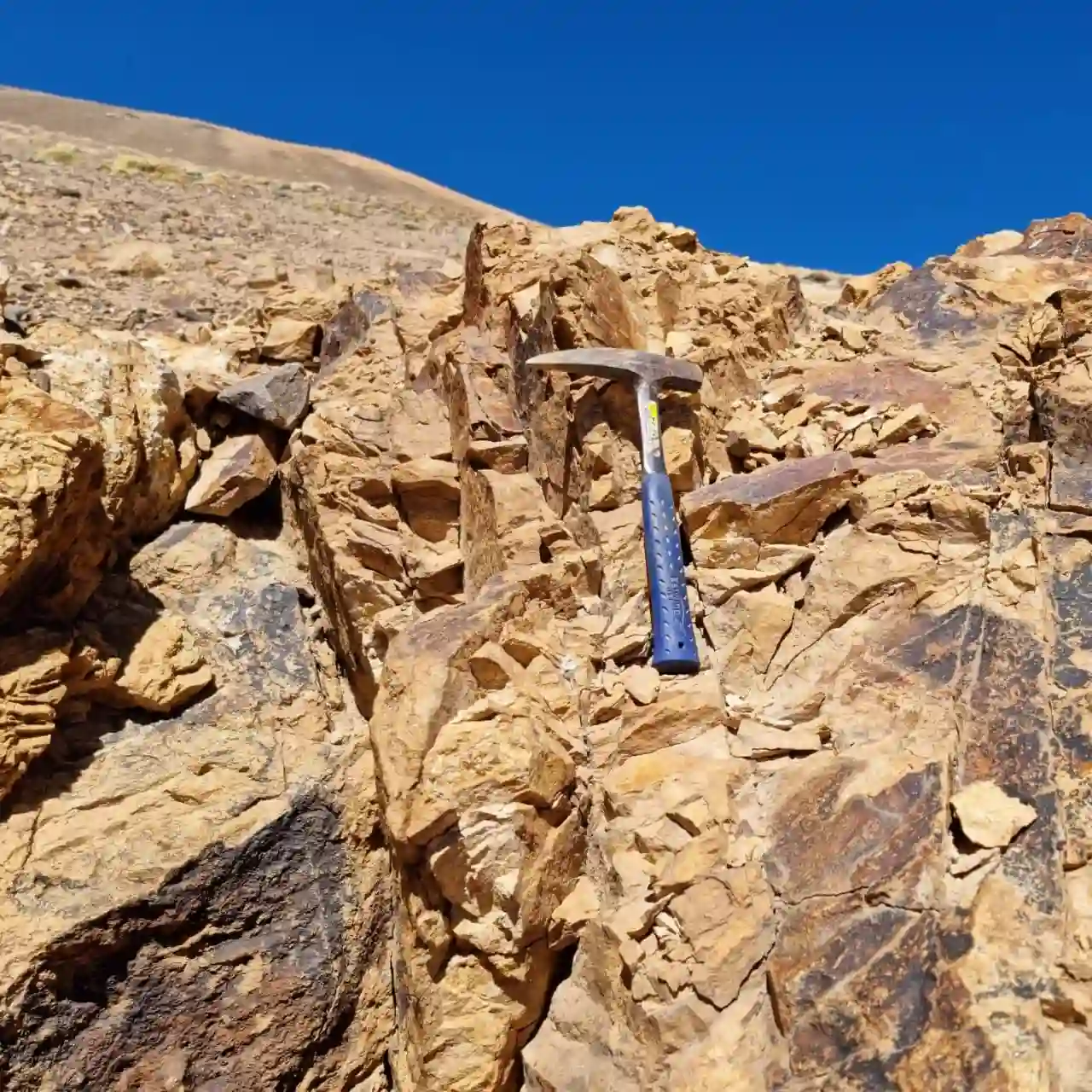Teck evalúa explorar cobre a gran escala en Mendoza