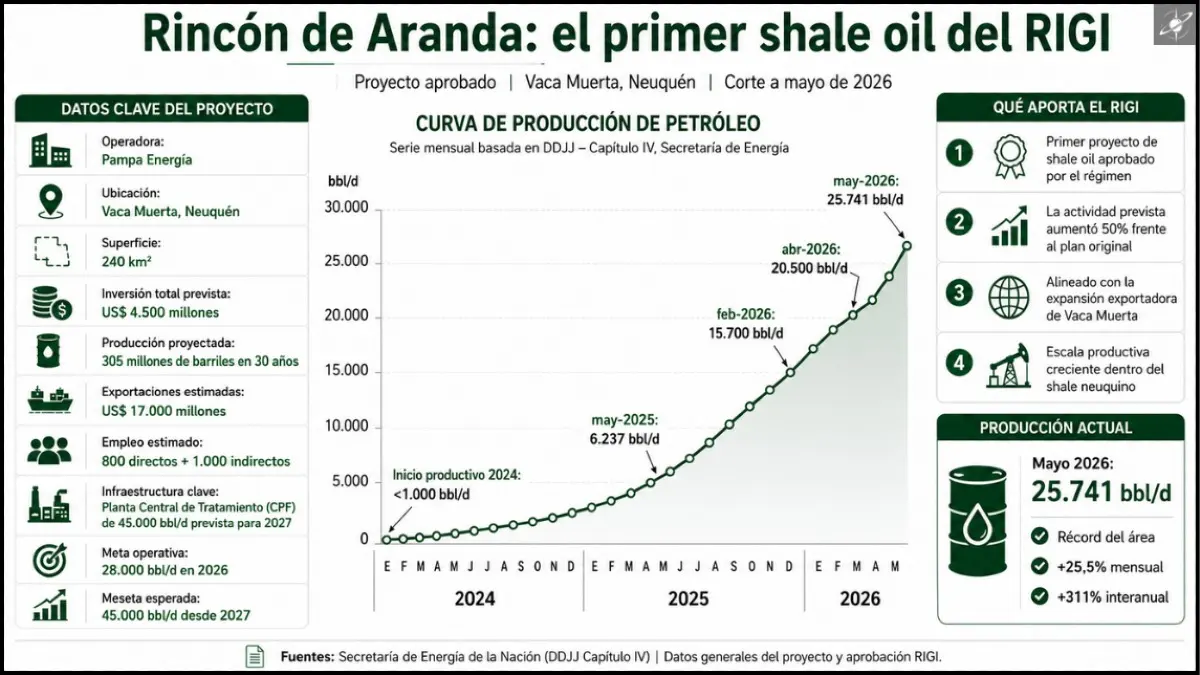 Rincón de Aranda aceleró su producción desde el inicio de su desarrollo en 2024 y alcanzó 25.741 barriles diarios en mayo de 2026 (Fuente: Secretaría de Energía de la Nación).