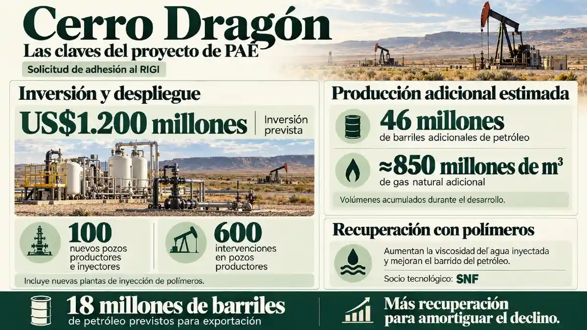 El proyecto de PAE para Cerro Dragón prevé invertir US$1.200 millones, con un aporte estimado de 46 millones de barriles adicionales de petróleo durante su desarrollo.
